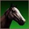 Weak Horse3.png